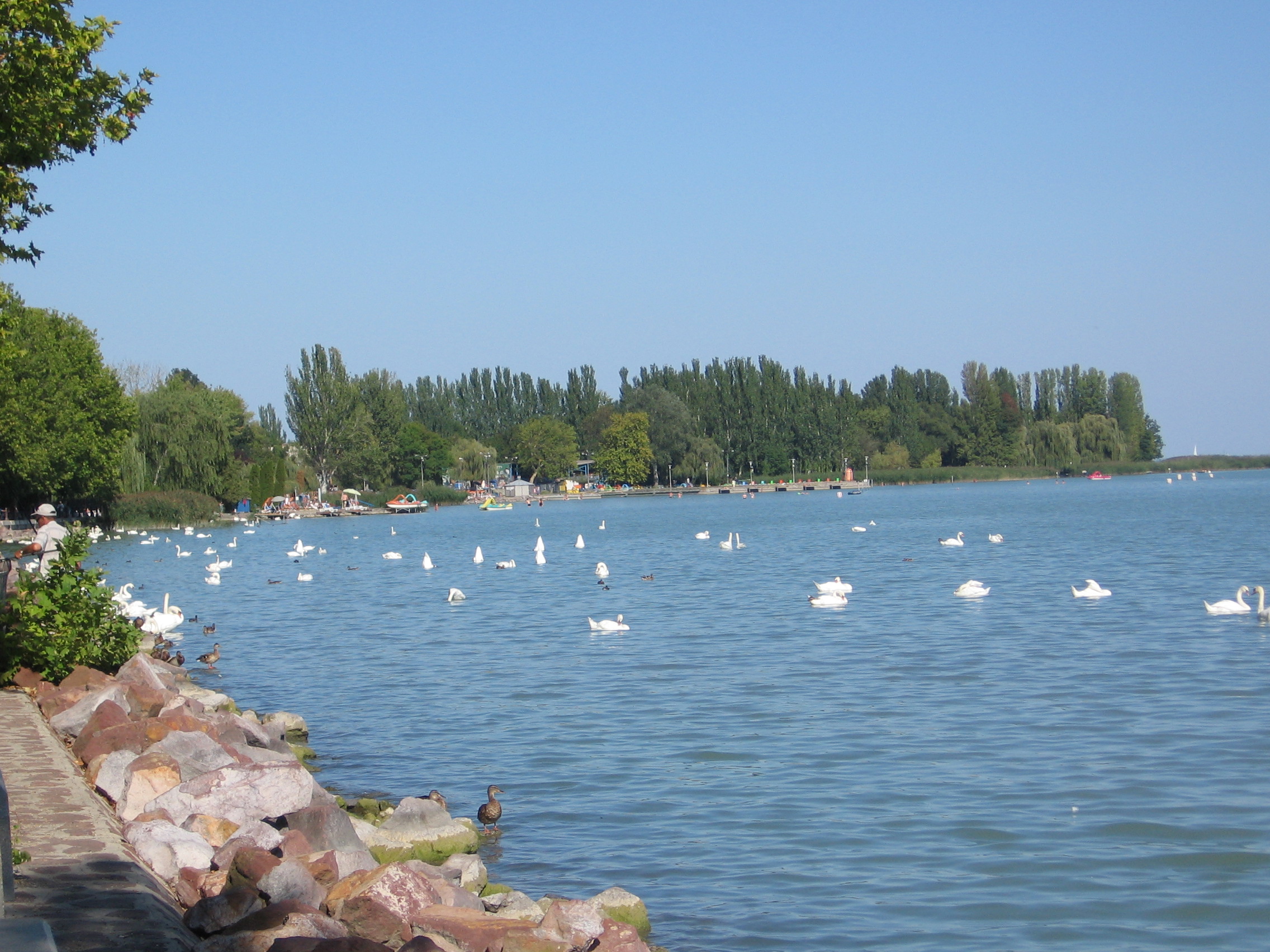 Balatonfred